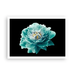 Poster - Petale albastre și aurii - 100x70 cm