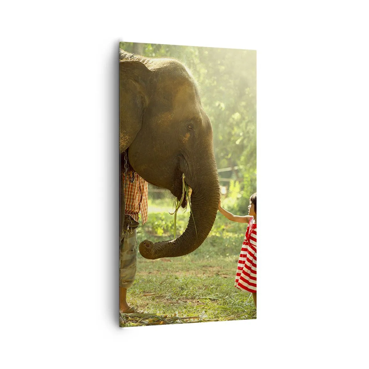 Tablou pe pânză - Puterea prieteniei - 65x120 cm