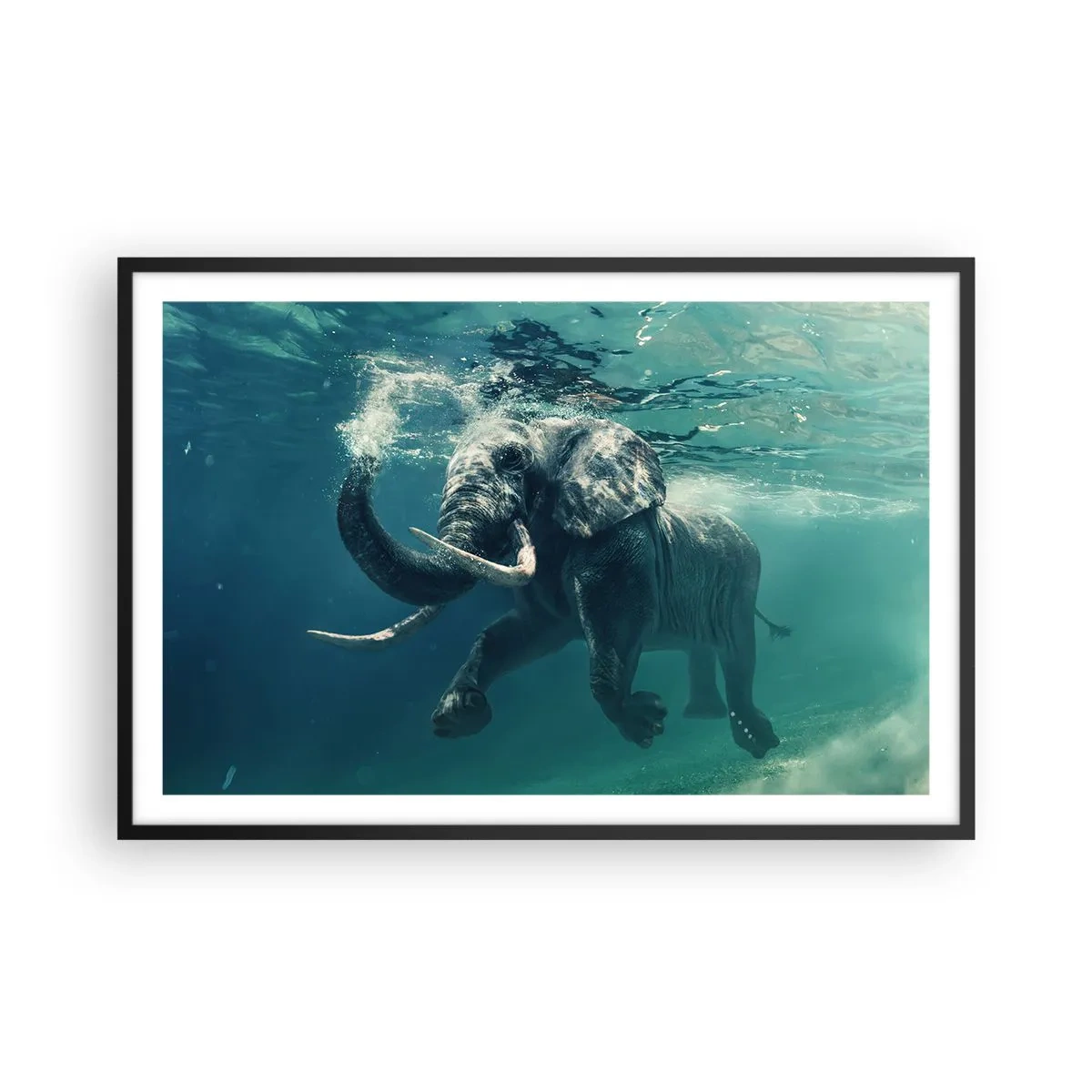 Poster în ramă neagră - Tuturor le place să înoate - 91x61 cm
