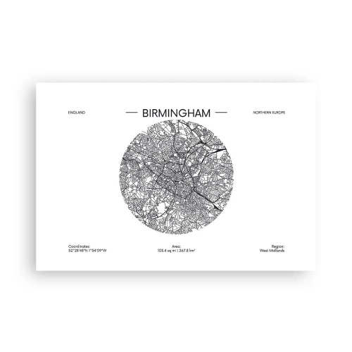 Poster - Anatomia Birmingham - 91x61 cm