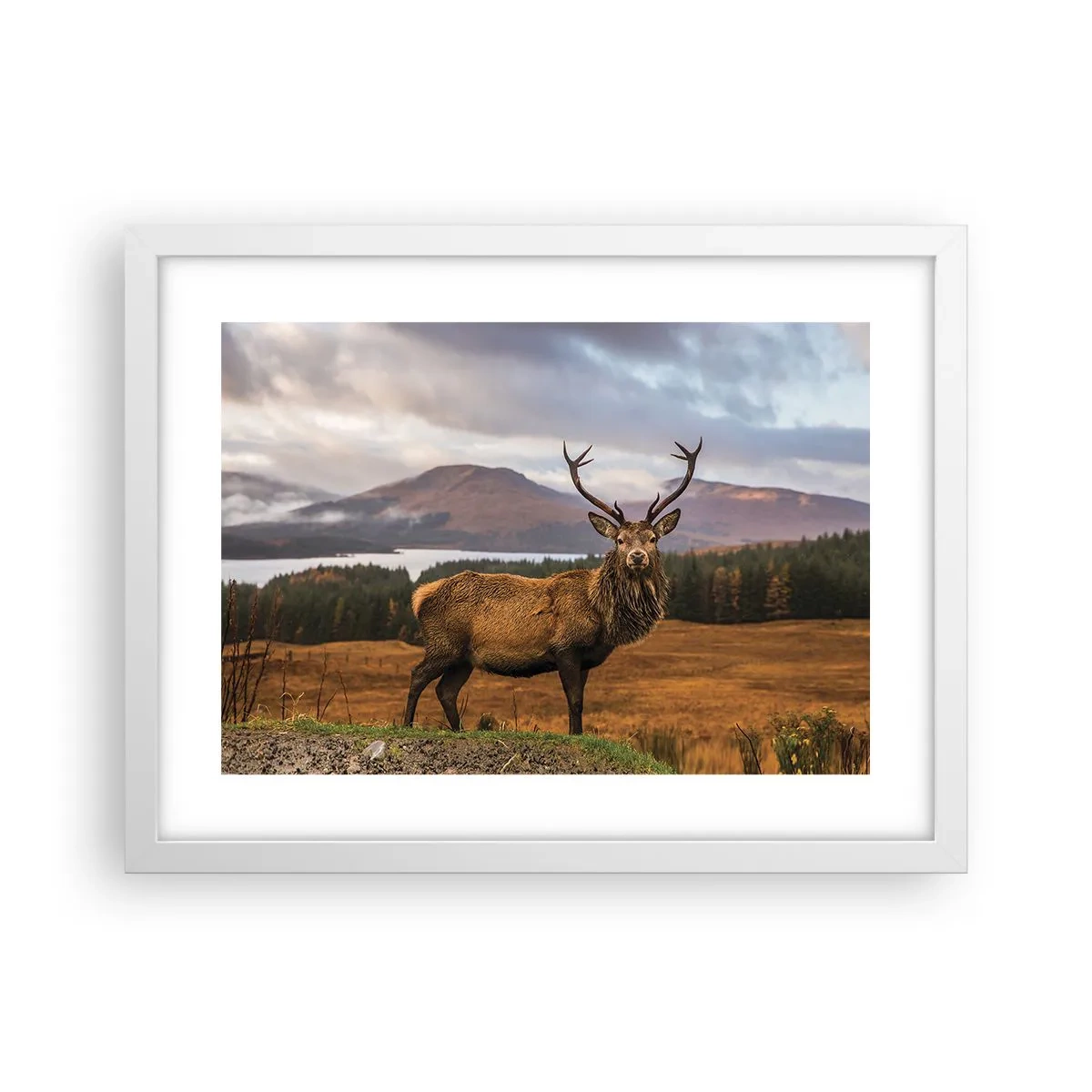Poster în ramă albă - Măreția naturii - 40x30 cm