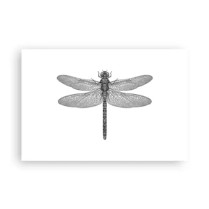 Poster - Precizia naturii - 91x61 cm