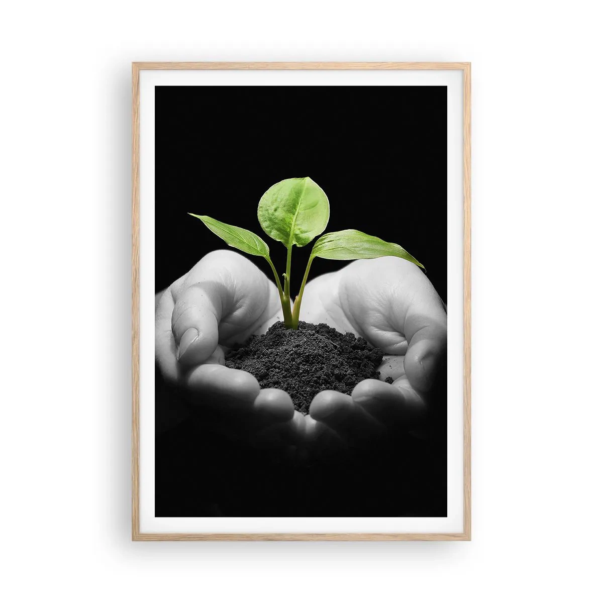 Poster în ramă de stejar deschis - Iubesc natura, o protejez - 70x100 cm