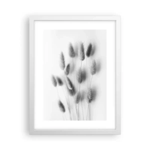 Poster în ramă albă - Pufoșenia ierbii - 30x40 cm