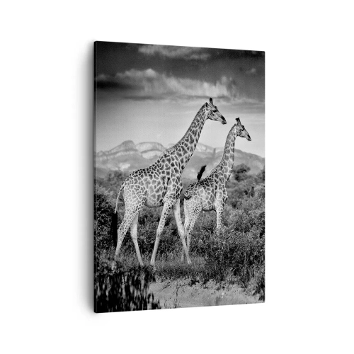 Tablou pe pânză - Clasele superioare din Africa - 50x70 cm