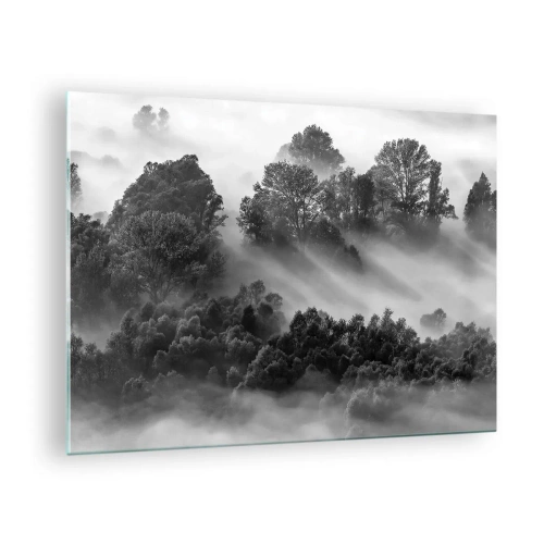 Tablou pe sticlă - Pădure cețoasă în lumina soarelui, alb-negru - 70x50cm - Trezindu-se din somn - Decorațiune modernă pentru perete pentru living și dormitor ARTTOR