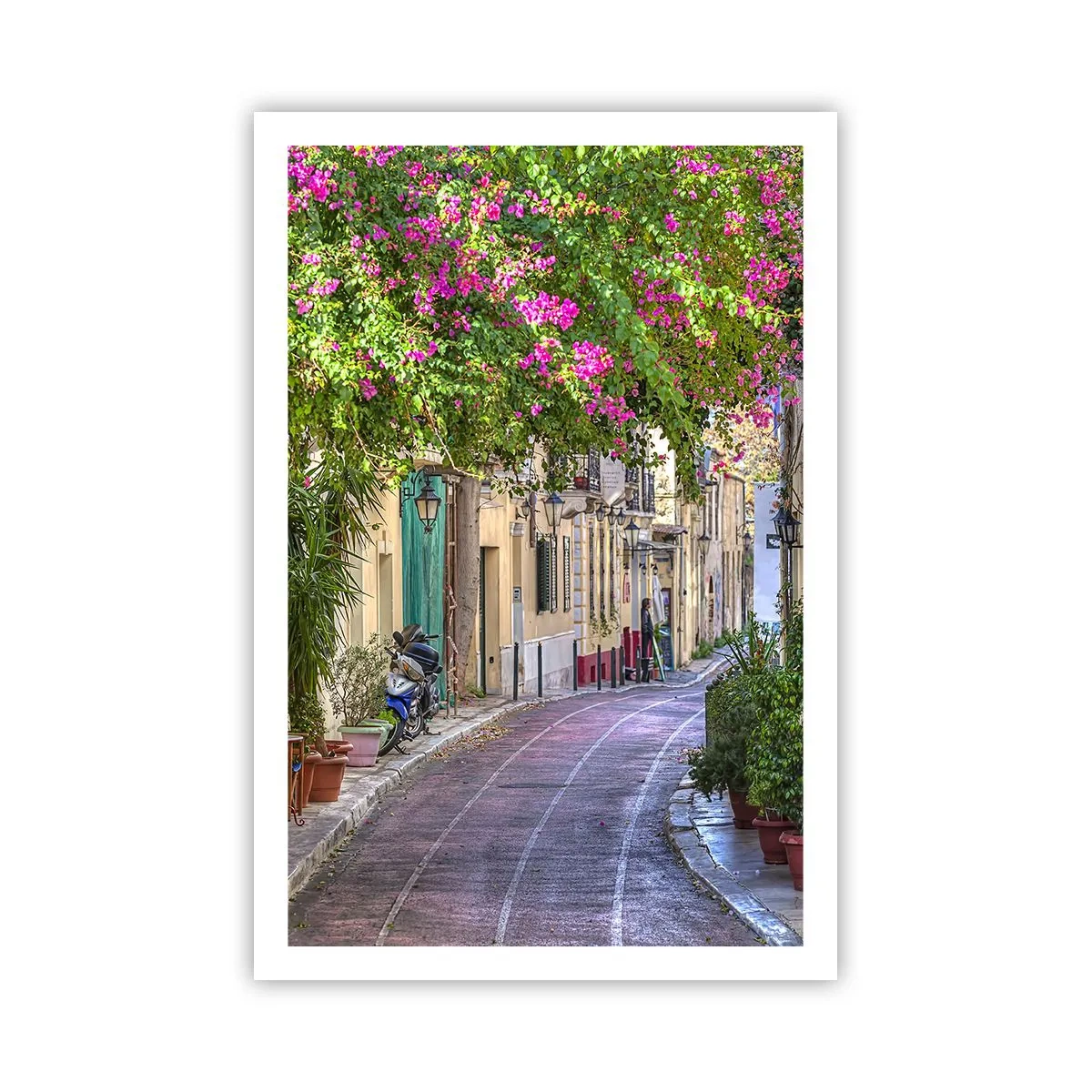 Poster - Alee înfloritoare - 61x91 cm