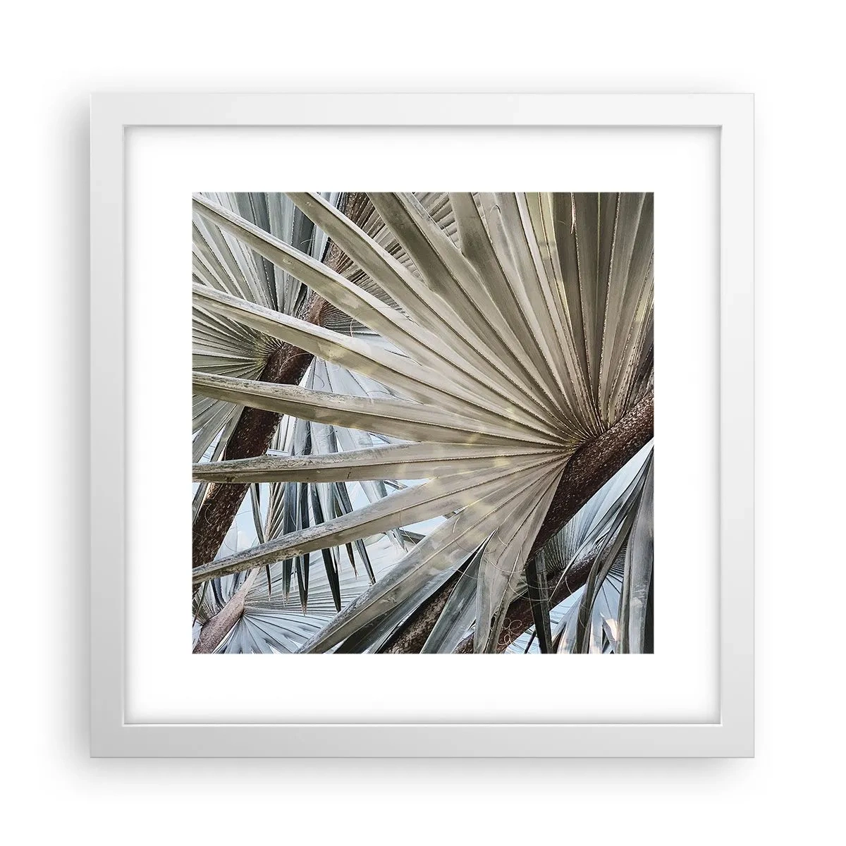 Poster în ramă albă - Evantaie din tropice - 30x30 cm
