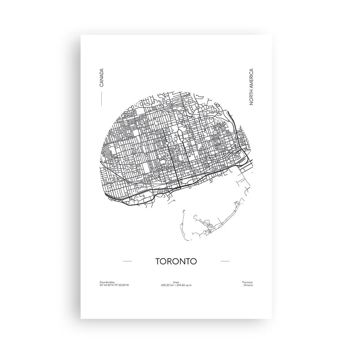 Poster - Anatomia Toronto - 61x91 cm