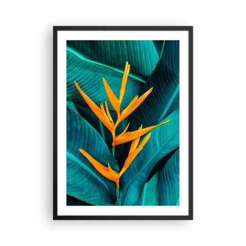 Poster în ramă neagră - O floare exotică pe un fundal de frunze tropicale verzi. - 50x70cm - Floarea Edenului - Decorațiune modernă pentru perete pentru living și dormitor ARTTOR