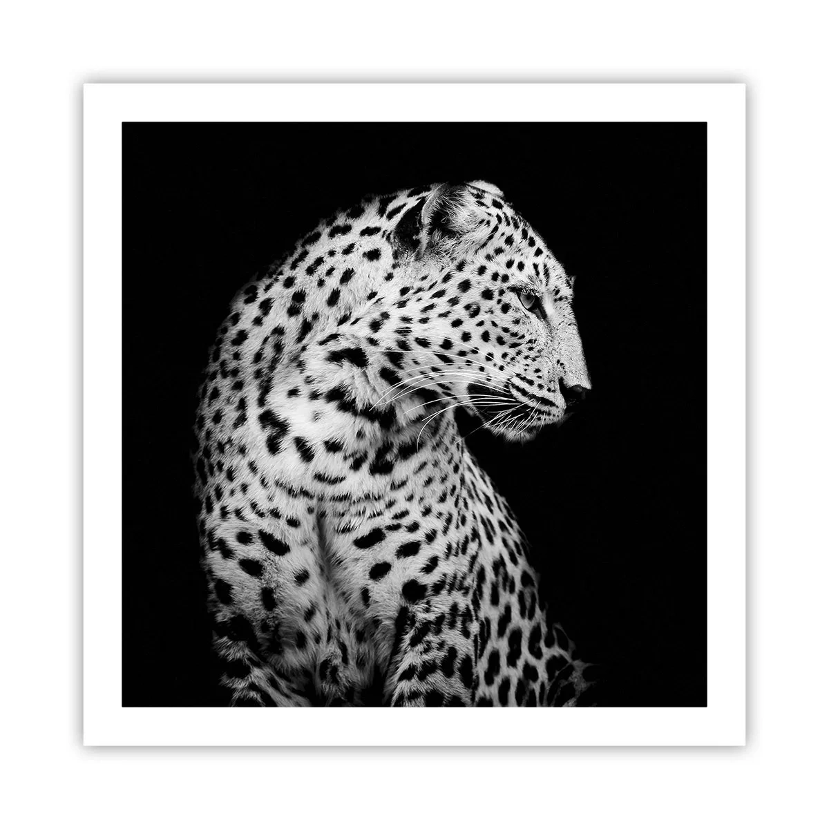 Poster - Profilul drept perfect! - 60x60 cm