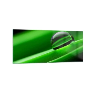 Tablou pe sticlă - Viața de aproape - 120x50 cm