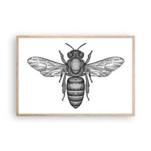 Poster în ramă de stejar deschis - Portret de insectă - 91x61 cm