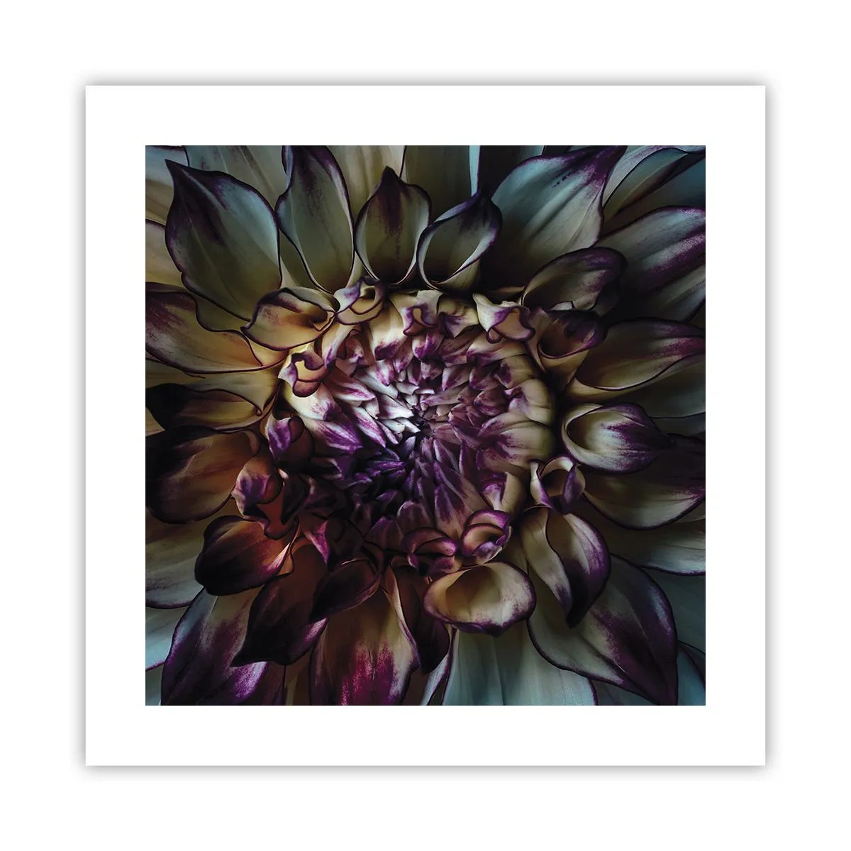 Poster - Înflorirea tinereții - 40x40 cm