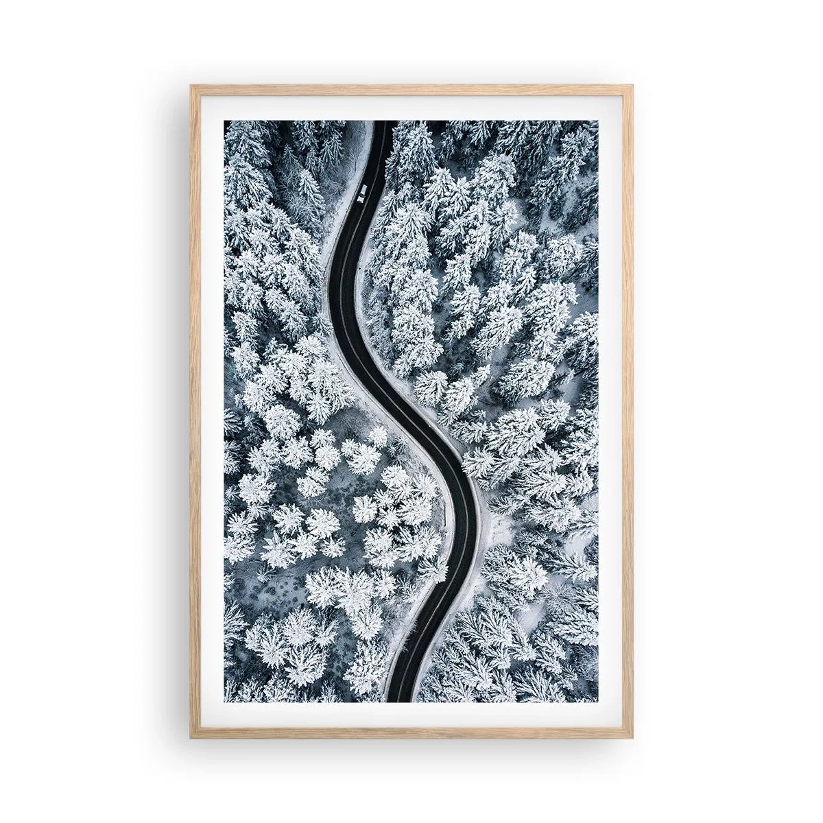 Poster în ramă de stejar deschis - Prin pădurea de iarnă - 61x91 cm