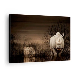 Tablou pe pânză Canvas - Rinocer printre copaci la apus, natură sălbatică. - 70x50cm - Albul împotriva naturii - Decorațiune modernă pentru perete pentru living și dormitor ARTTOR