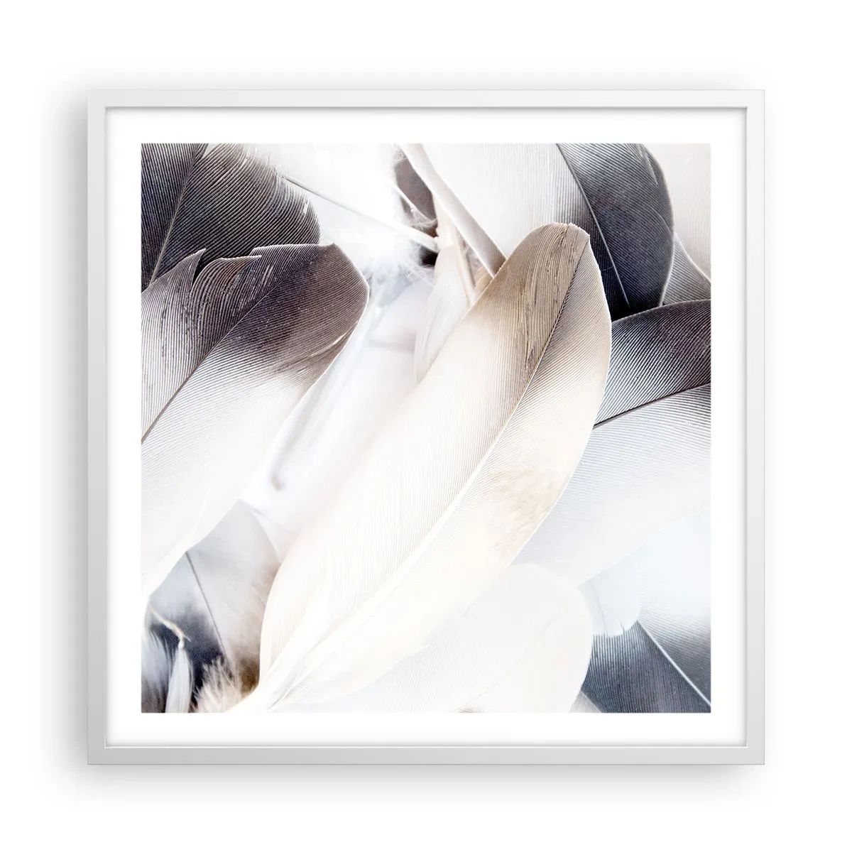 Poster în ramă albă - Aproape angelice - 60x60 cm