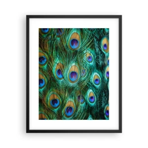 Poster în ramă neagră - O privire cu ochi de păun - 40x50 cm