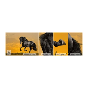 Mostră tapet autocolant Deluxe Sticker - Frumos, liber și sălbatic - Animale, Cal, Peisaj - 100x30 cm