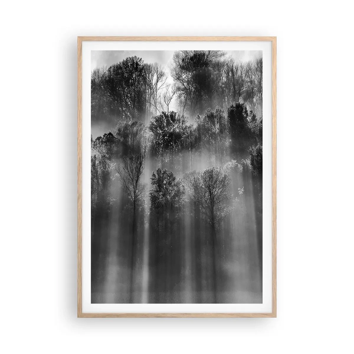 Poster în ramă de stejar deschis - În fluxuri de lumină - 70x100 cm