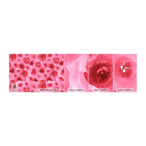 Mostră tapet autocolant Deluxe Sticker - Trandafiri de sus în jos - Flori, Frumuseţe, Romantism - 100x30 cm