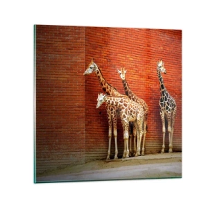 Tablou pe sticlă - Vezi vreun salcâm? - 40x40 cm