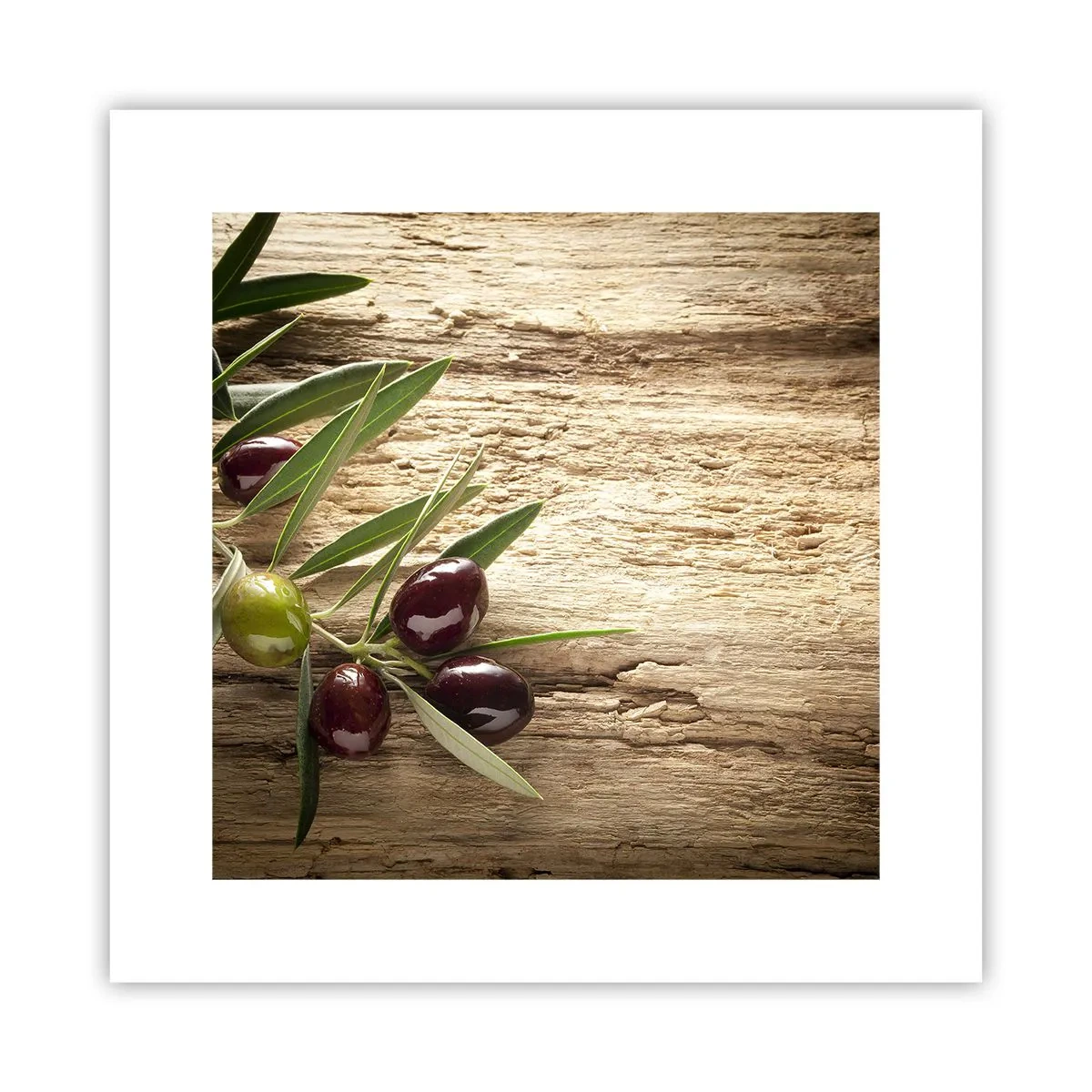 Poster - Direct din natură - 30x30 cm