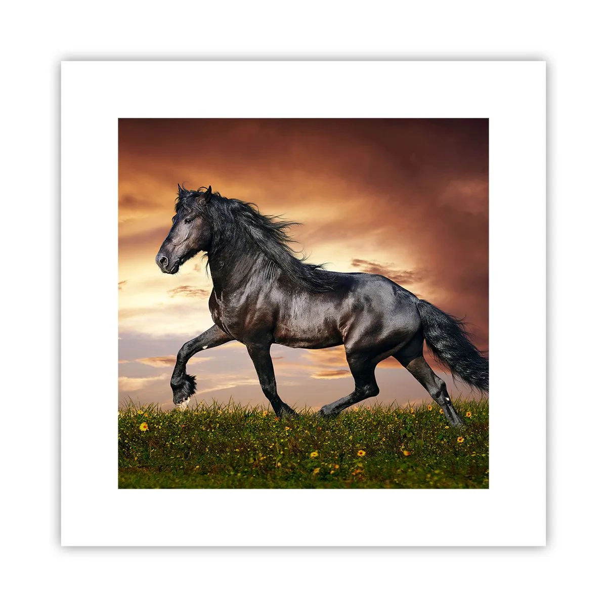 Poster - Prințul negru - 30x30 cm