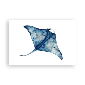 Poster - Viața în albastru - 91x61 cm