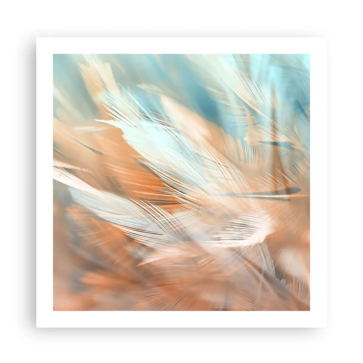 Poster - În țara blândeții - 60x60 cm