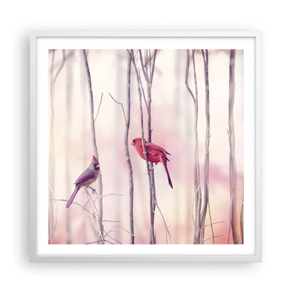 Poster în ramă albă - O poveste din Pădurea Roz - 60x60 cm