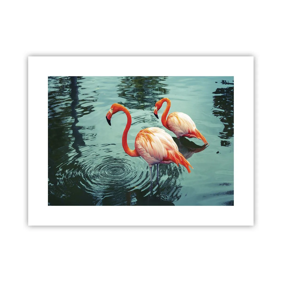 Poster - Suntem bune de revistele de modă - 40x30 cm