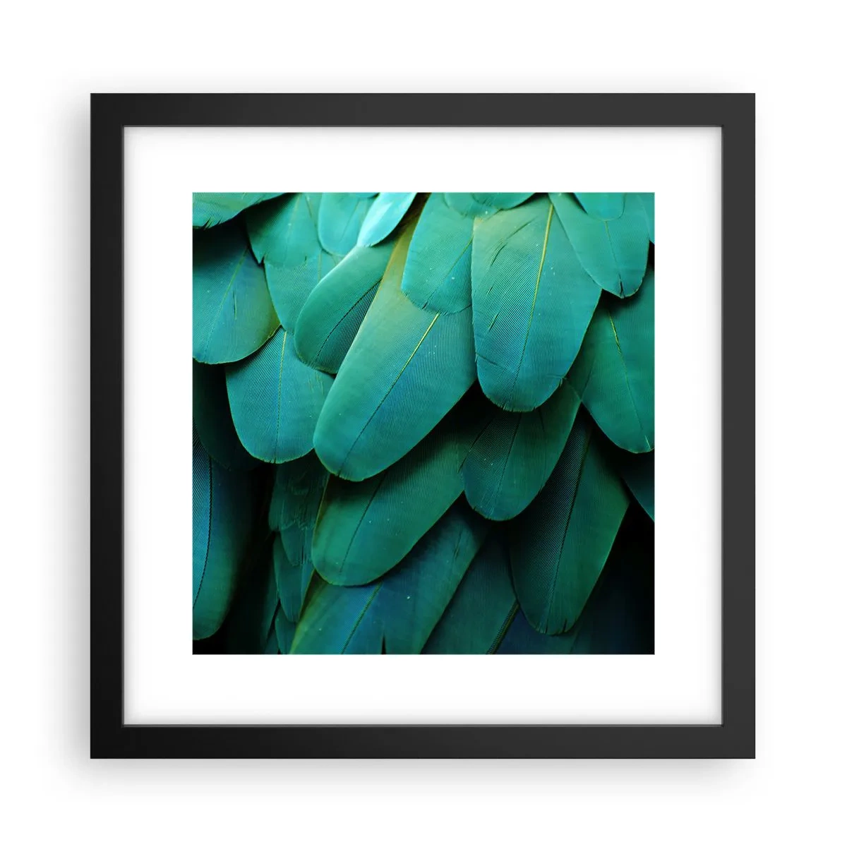 Poster în ramă neagră - Precizia naturii papagalicești - 30x30 cm
