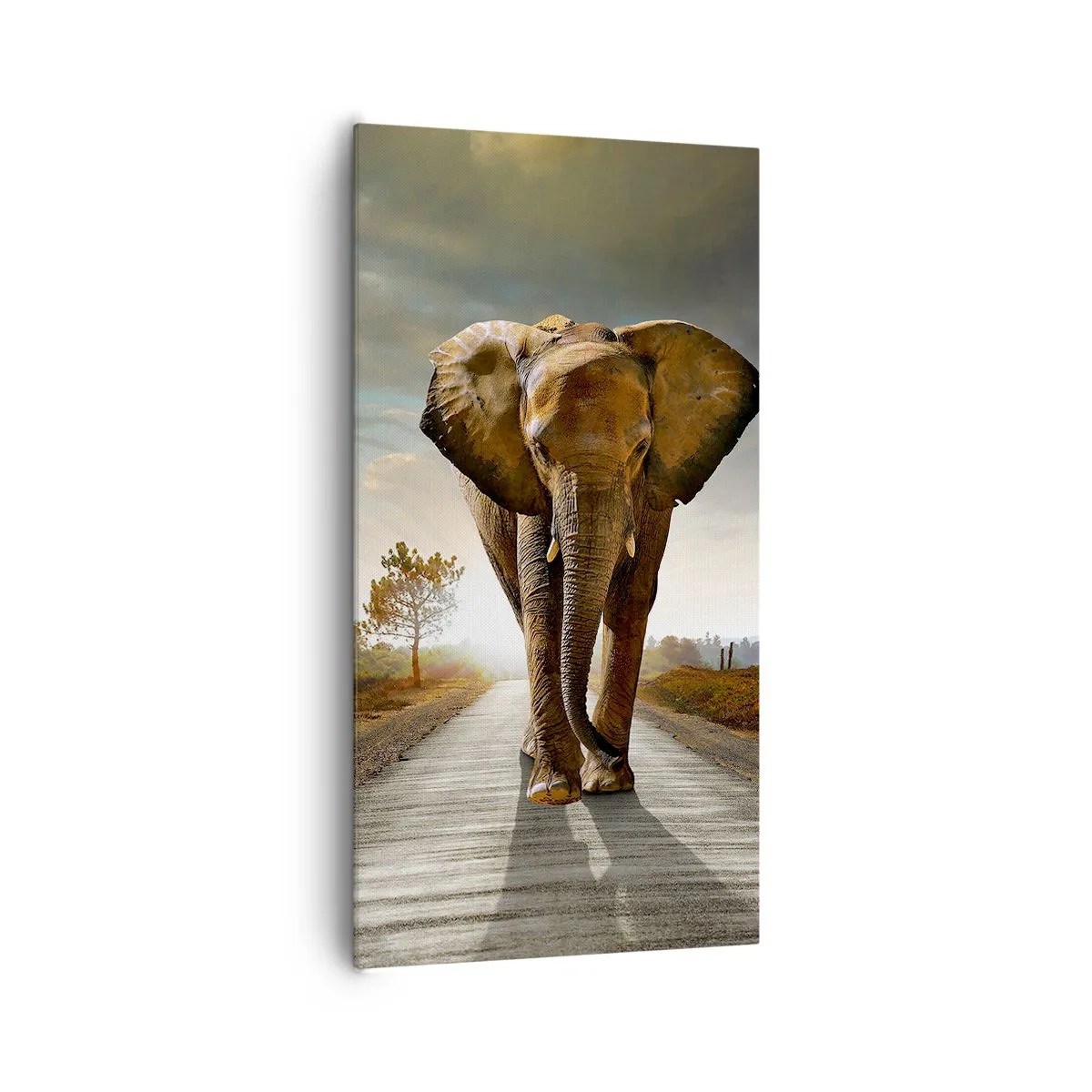 Tablou pe pânză - Și-a pierdut cipicii... - 65x120 cm