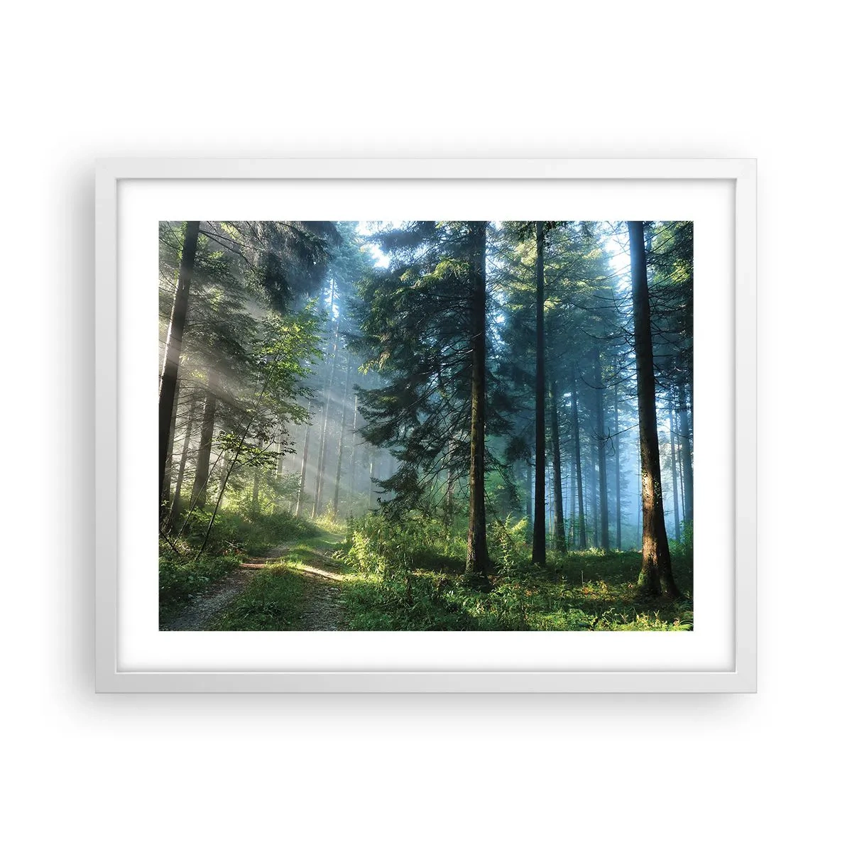 Poster în ramă albă - Strălucirea de dimineață - 50x40 cm