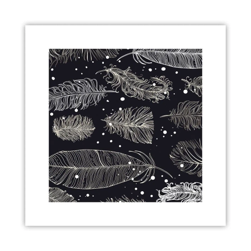 Poster - Dantelă cu pene - 30x30 cm