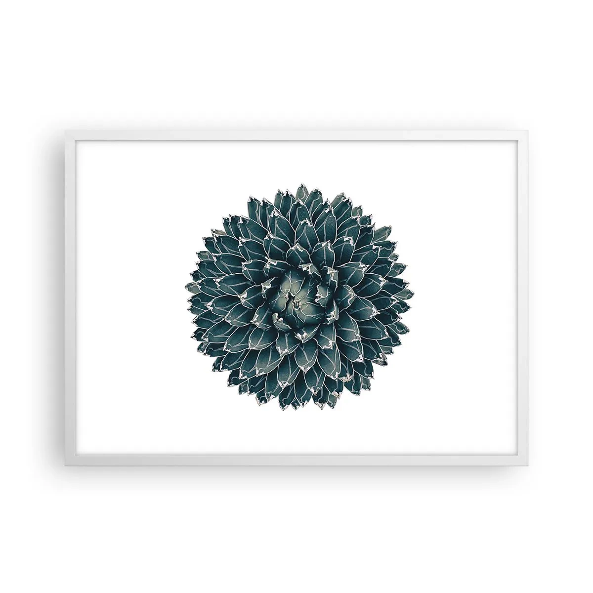 Poster în ramă albă - Steaua deșertului - 70x50 cm