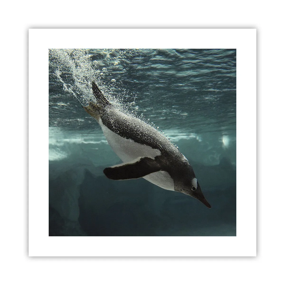 Poster - Bun venit în lumea mea - 40x40 cm