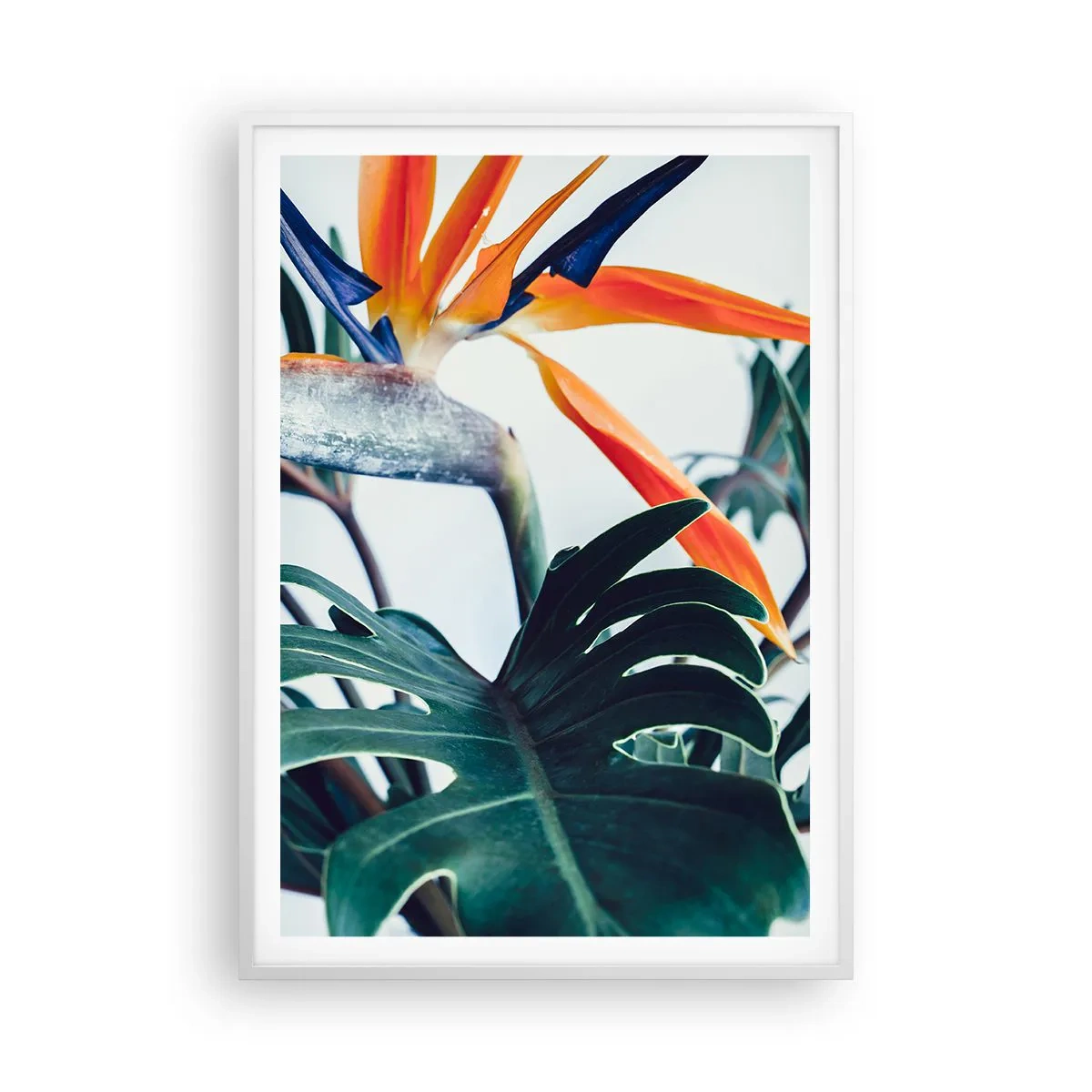 Poster în ramă albă - Tufiș sau pasăre? - 70x100 cm