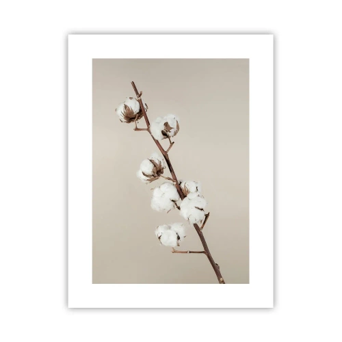 Poster - La sursa moliciunii - 30x40 cm