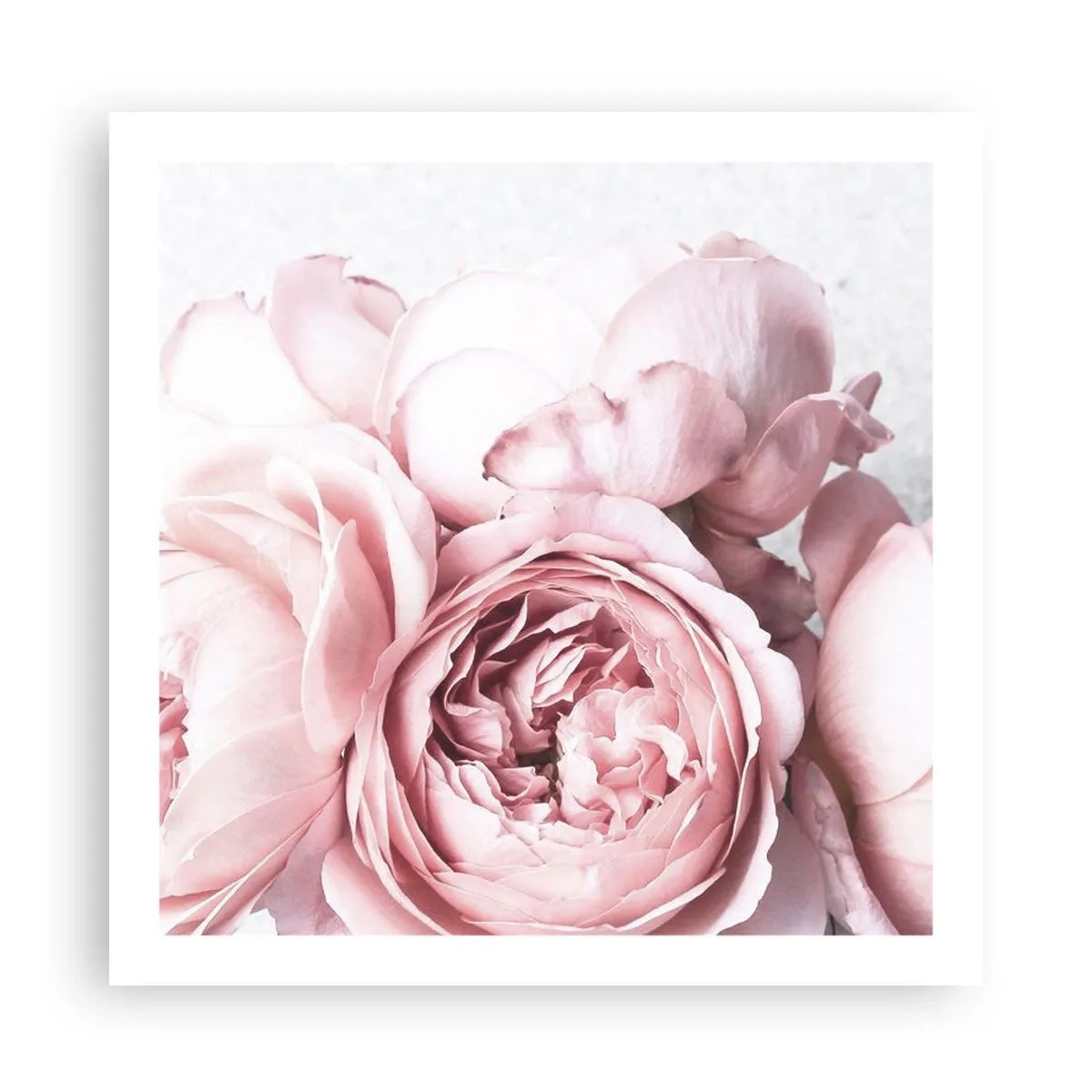 Poster - Pentru romantici - 60x60 cm