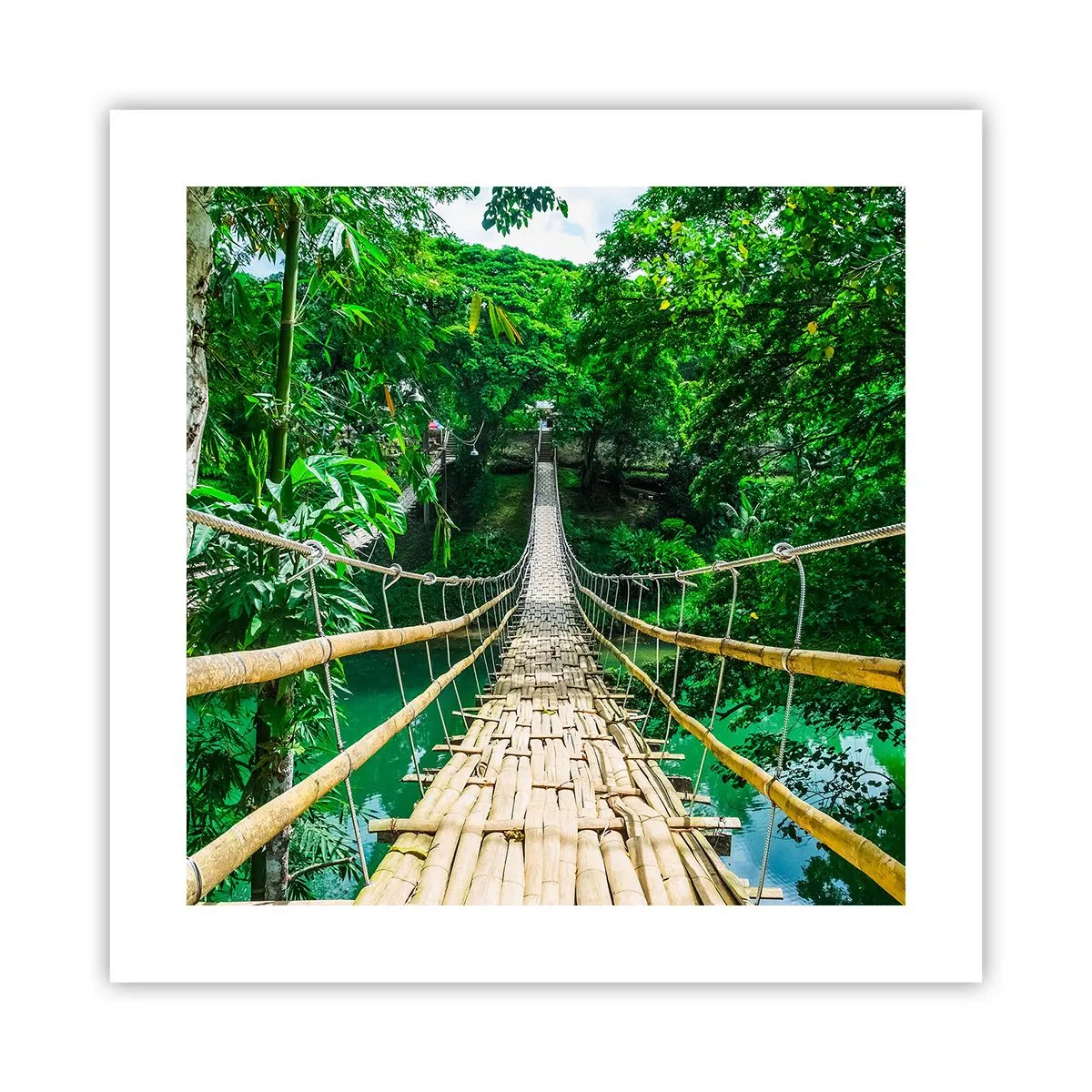 Poster - Pod de maimuțe peste verdeață - 40x40 cm