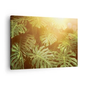 Tablou pe pânză Canvas - Frunze de Monstera în lumina soarelui pe un fundal natural - 70x50cm - Poftiți în verde - Decorațiune modernă pentru perete pentru living și dormitor ARTTOR