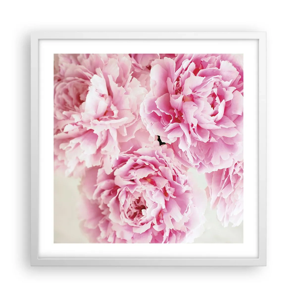 Poster în ramă albă - În luxul roz - 50x50 cm