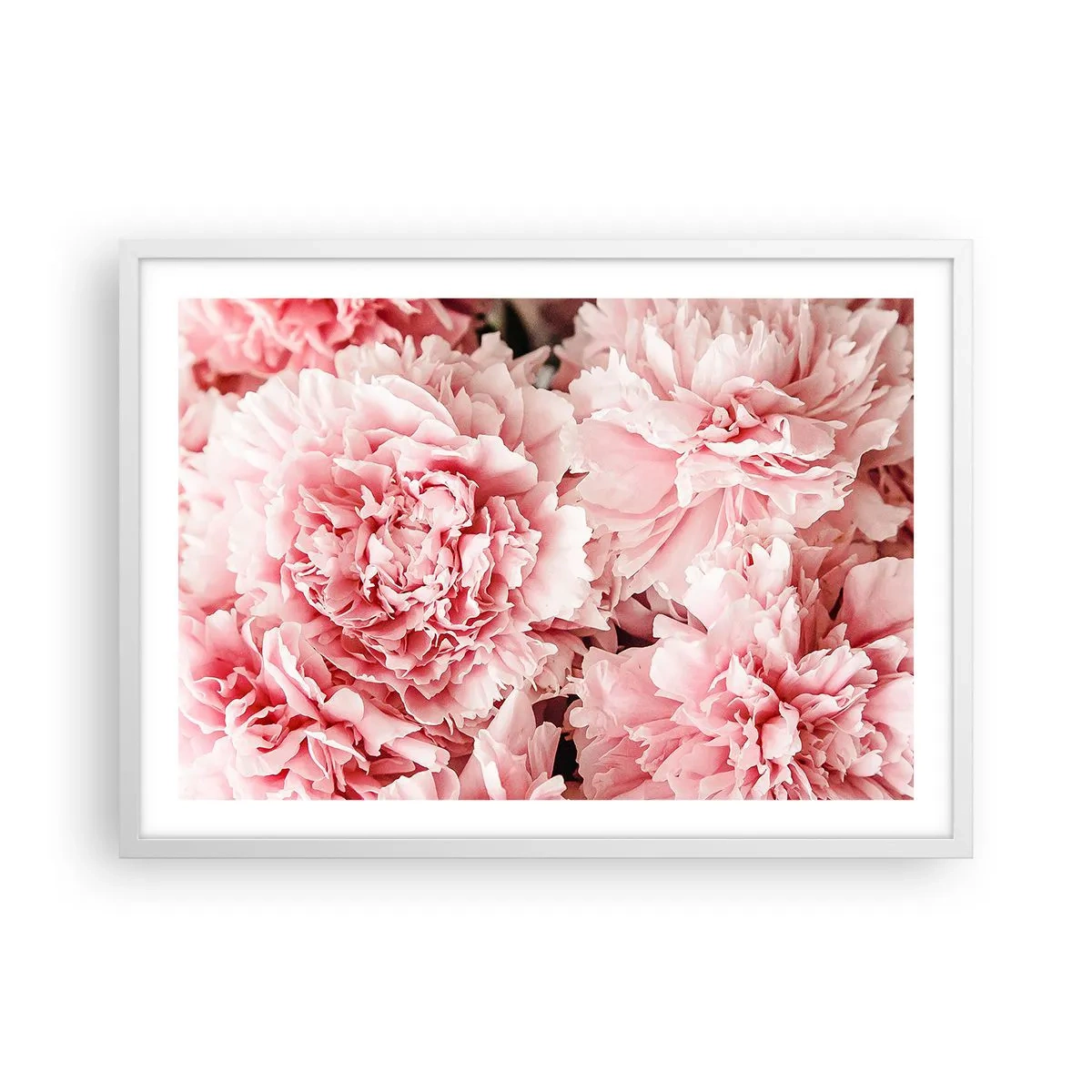 Poster în ramă albă - Visul roz - 70x50 cm