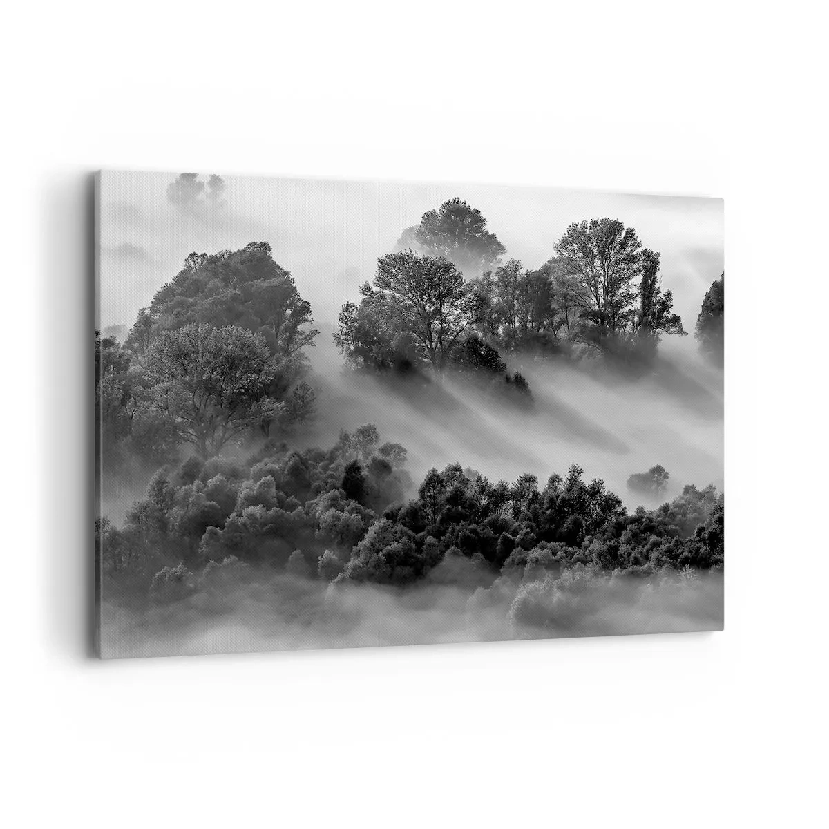 Tablou pe pânză - Trezindu-se din somn - 100x70 cm