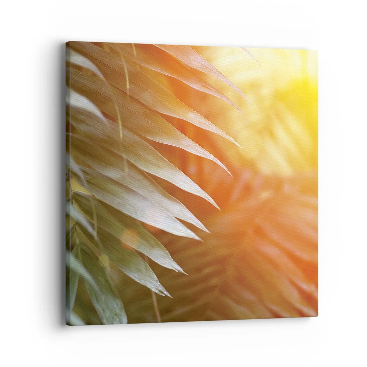 Tablou pe pânză - Dimineață în junglă - 40x40 cm