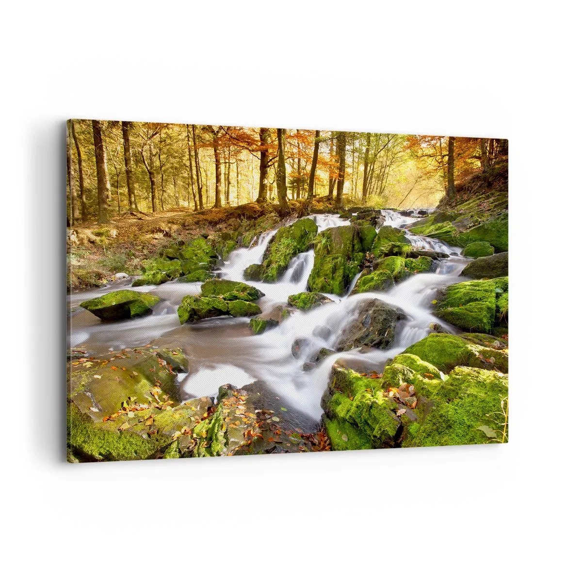 Tablou pe pânză - Repede prin pădure de toamnă - 120x80 cm