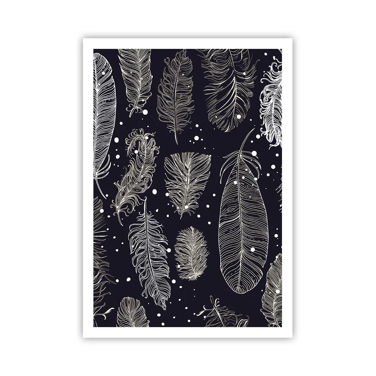 Poster - Dantelă cu pene - 70x100 cm