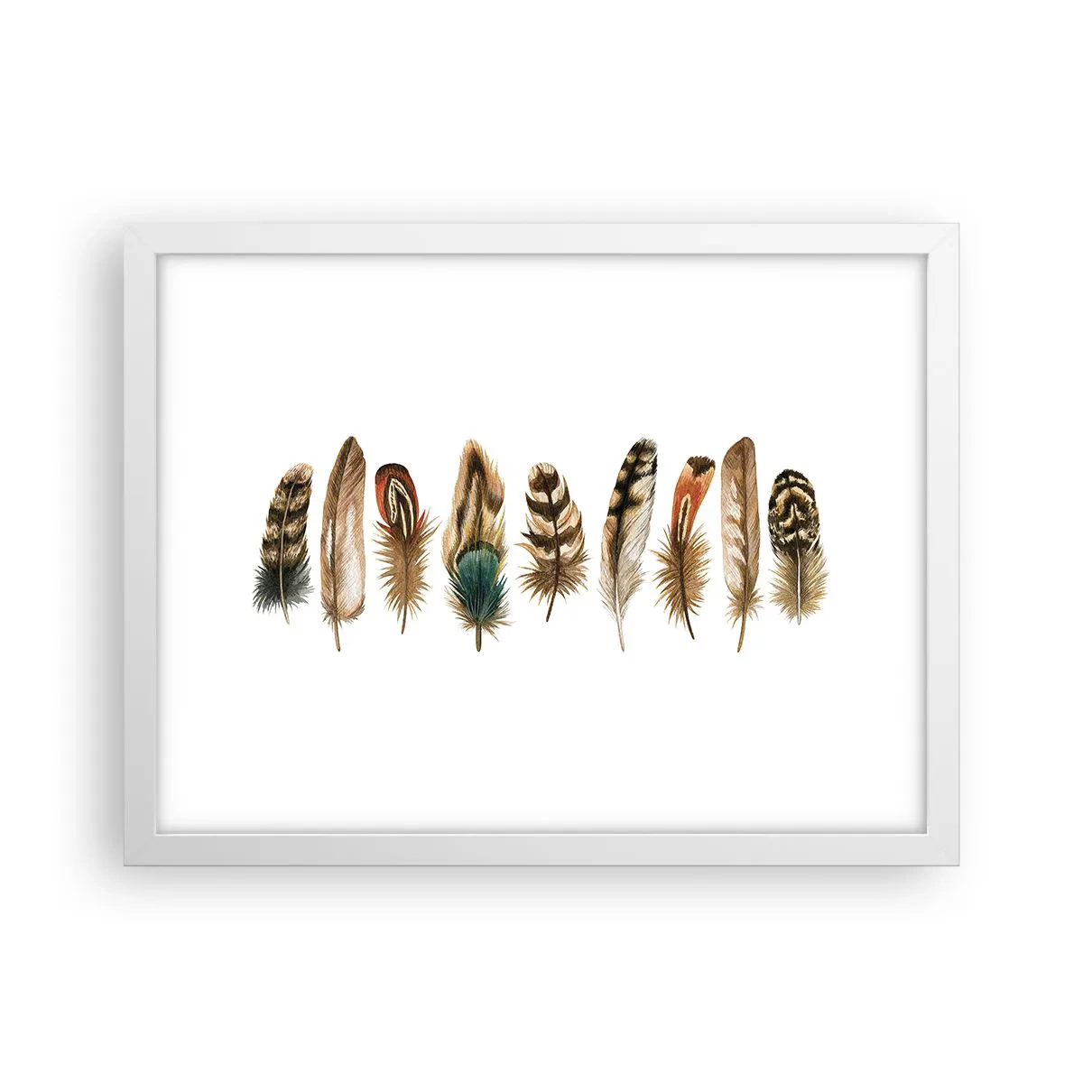 Poster în ramă albă - Variație cu pene - 40x30 cm
